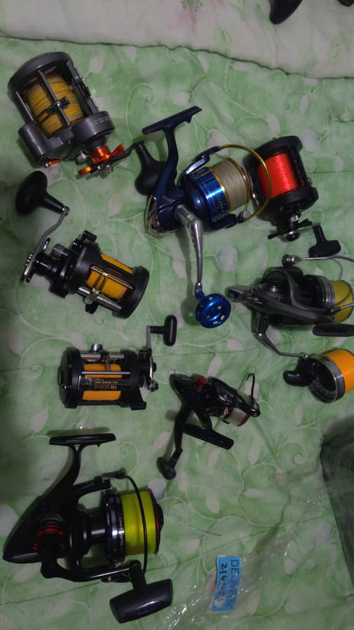 REELS AND BRAID LOT