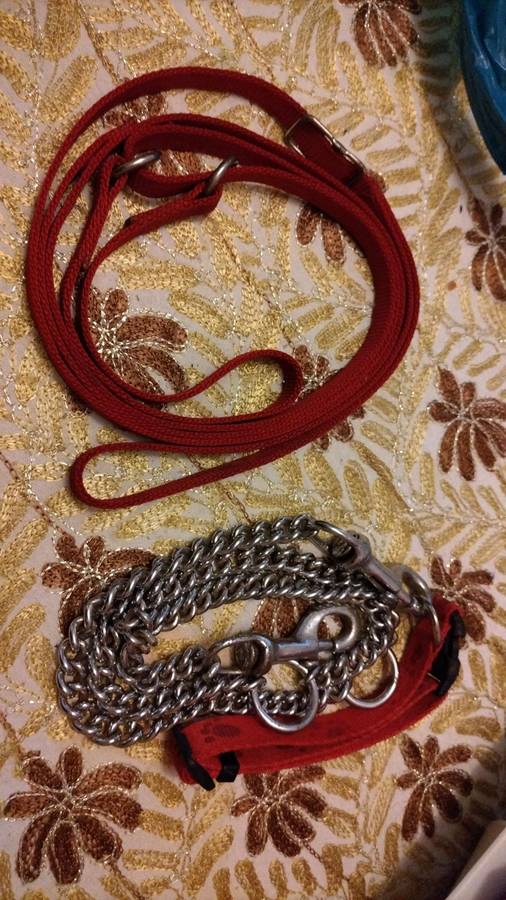 Great quality dog leash and chain combo