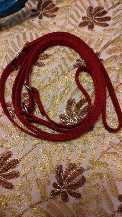 Great quality dog leash and chain combo