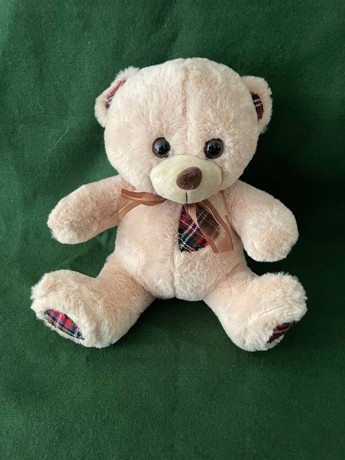 Teddy Bear - Fluffy Tartan Teddy Beer - In Awesome condition