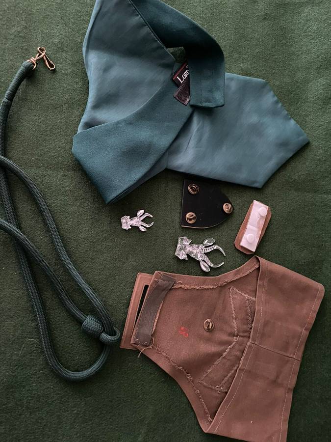 SADF : Infantry school instructor lot - cravat / rank / lanyard / shoulder flash - low start