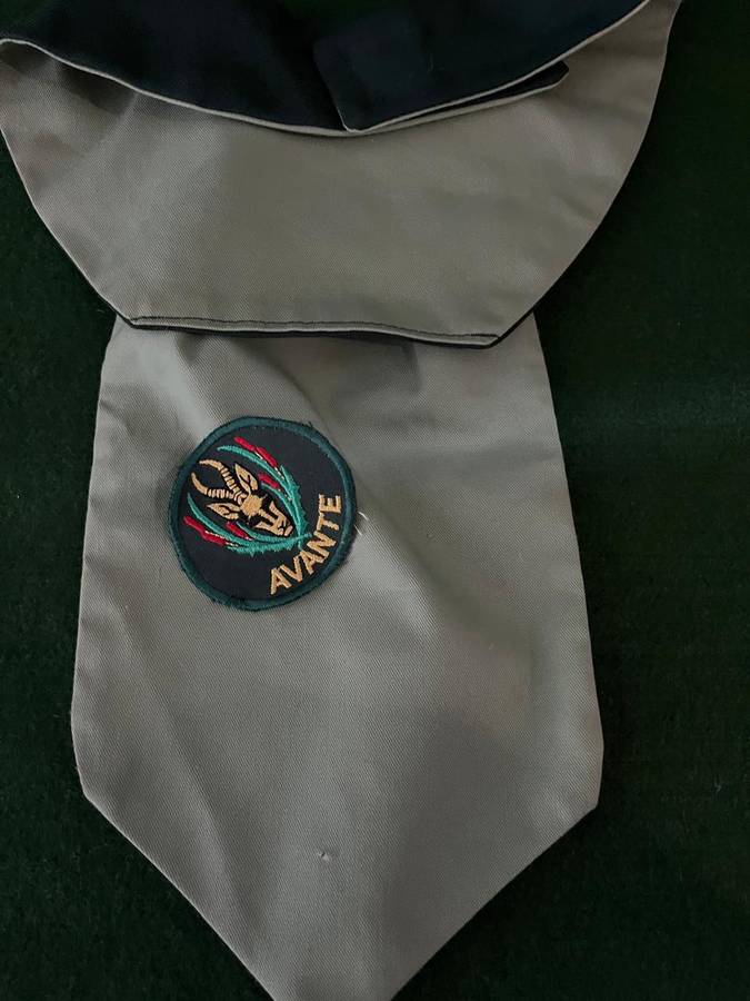 SADF 5 Sai Cravat and Beret Badge