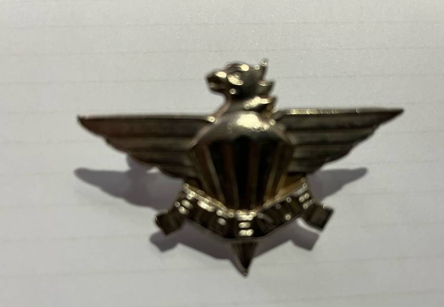 SADF : 3 Parachute Battalion Beret Badge