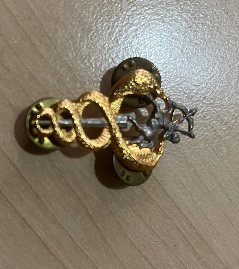 SADF Medics SAMS Veterinarian Breast Badge - All Pins