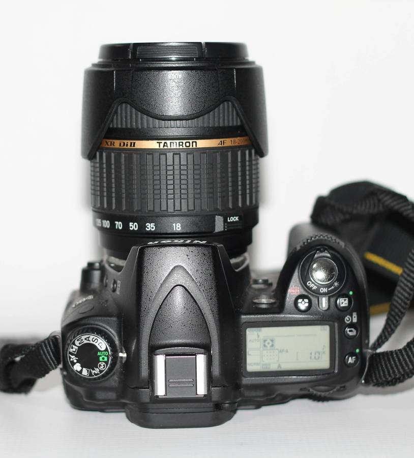 Nikon D90 with Tamron AF 18-200mm f / 3.5-6.3 (IF) Aspherical LD XR DiII Macro, 5550 Shutter Count