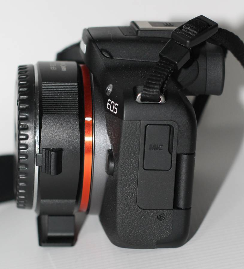 Canon EOS R50 Mirrorless Camera With EF-EOS R AF ADAPTER