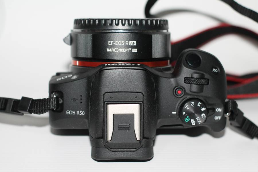 Canon EOS R50 Mirrorless Camera With EF-EOS R AF ADAPTER