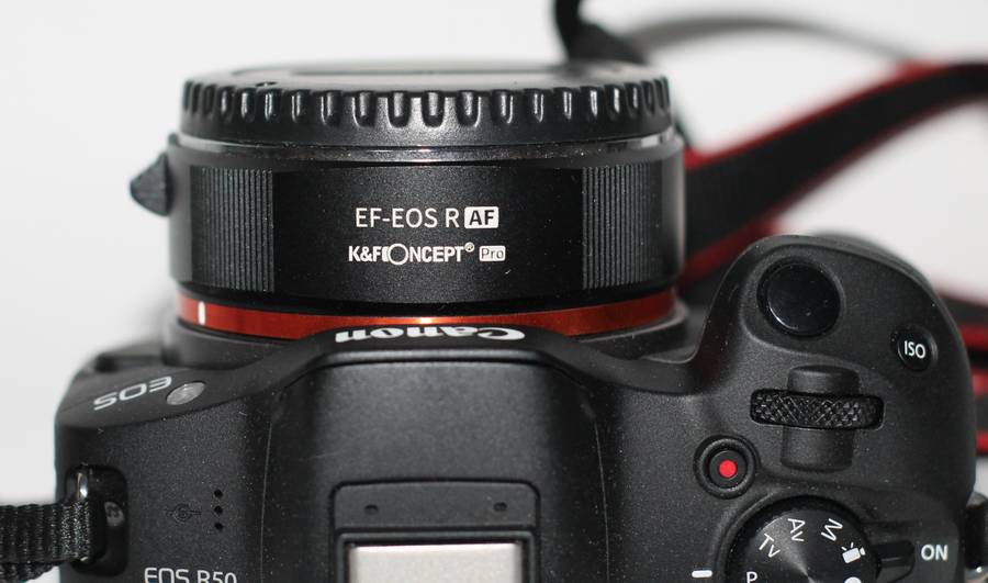 Canon EOS R50 Mirrorless Camera With EF-EOS R AF ADAPTER