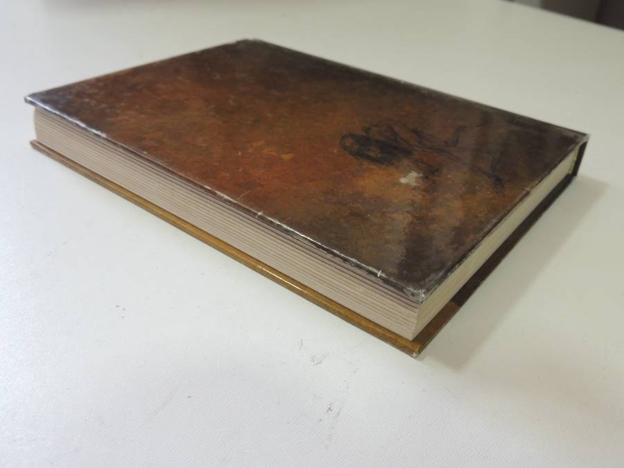 The Faeries' Oracle:Working with Fairies Find Insight, Wisdom & Joy - Brian Froud, Book Only