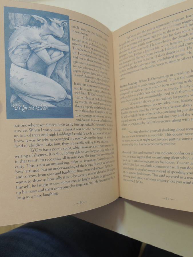 The Faeries' Oracle:Working with Fairies Find Insight, Wisdom & Joy - Brian Froud, Book Only