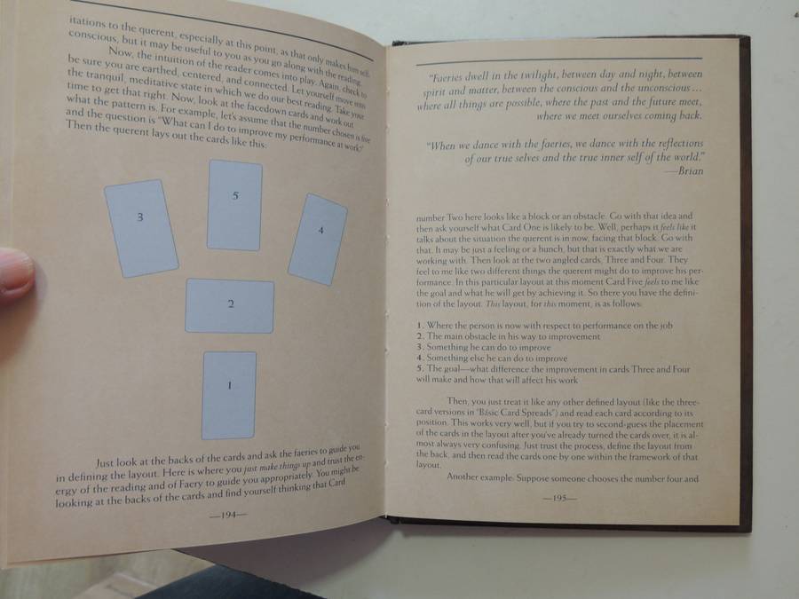 The Faeries' Oracle:Working with Fairies Find Insight, Wisdom & Joy - Brian Froud, Book Only