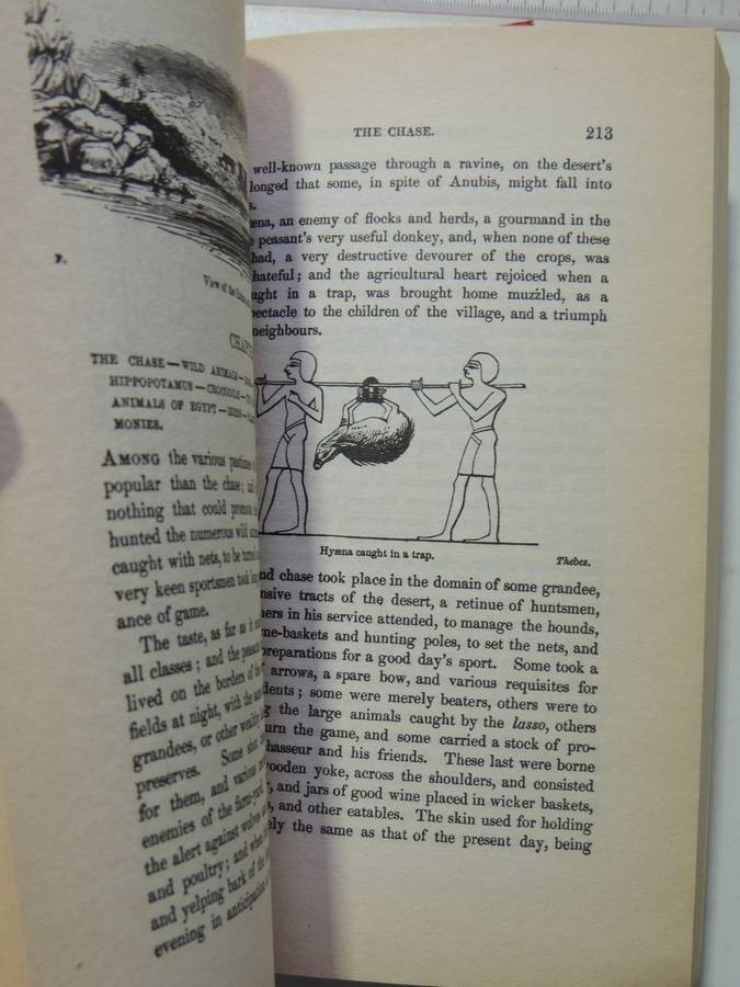 The Ancient Egyptians: Their Life And Customs - J. Gardener Wilkinson   2 Volume Set-