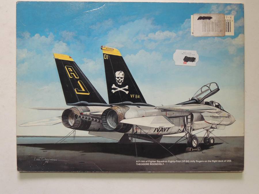 Squadron / Signal Publications Walk Around No. 3: F-14 Tomcat Walk Around - Lou Drendel