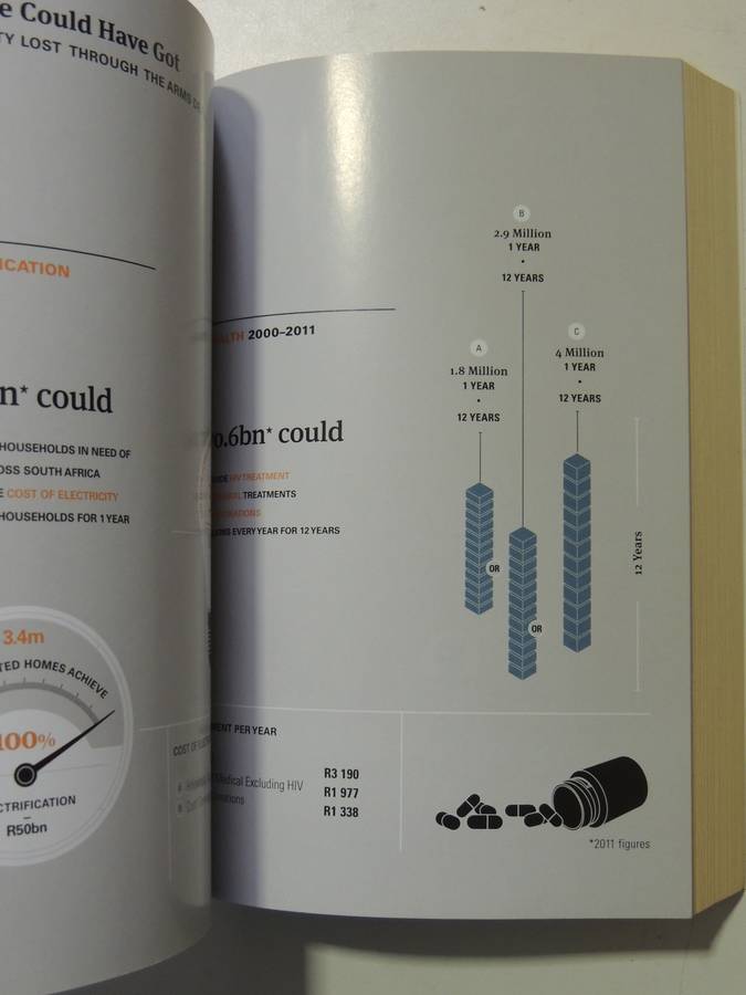 The Devil in the Detail, How the Arms Deal Changed Everything - Paul Holden, Hennie van Vuuren