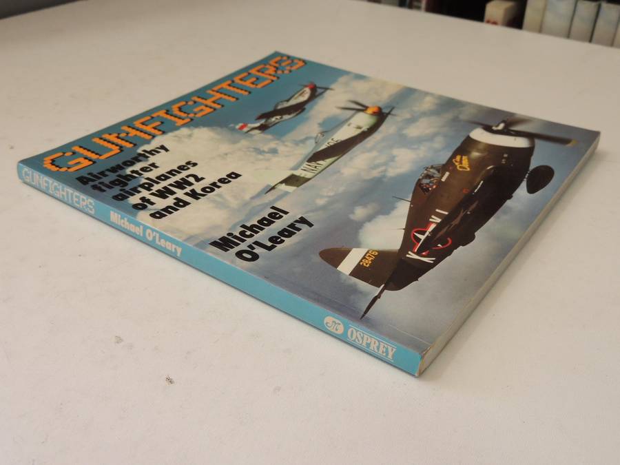 Gunfighters: Airworthy Fighter Airplanes Of WW 2 And Korea -  Michael O'Leary