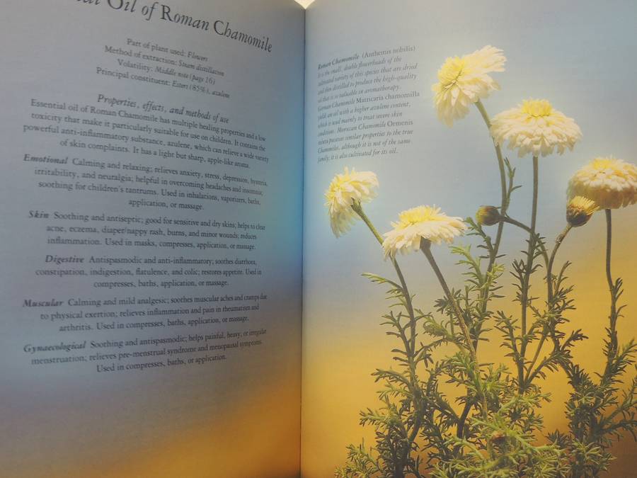 Aromatherapy For Common Ailments - Shirley Price