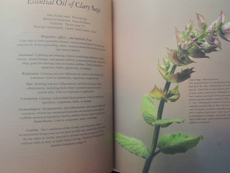 Aromatherapy For Common Ailments - Shirley Price