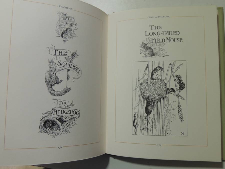 The Edwardian Lady: The Story Of Edith Holden - ed Ina Taylor