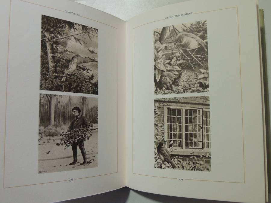 The Edwardian Lady: The Story Of Edith Holden - ed Ina Taylor