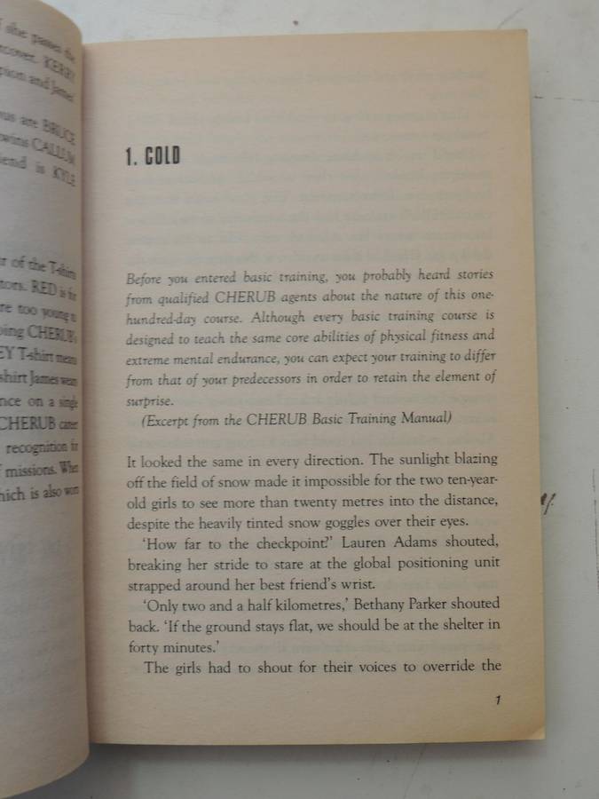Cherub No. 3: Maximum Security - Robert Muchamore
