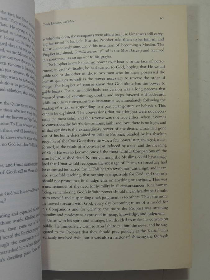 The Messenger: The Meaning Of The Life Of Muhammad - Tariq Ramadan