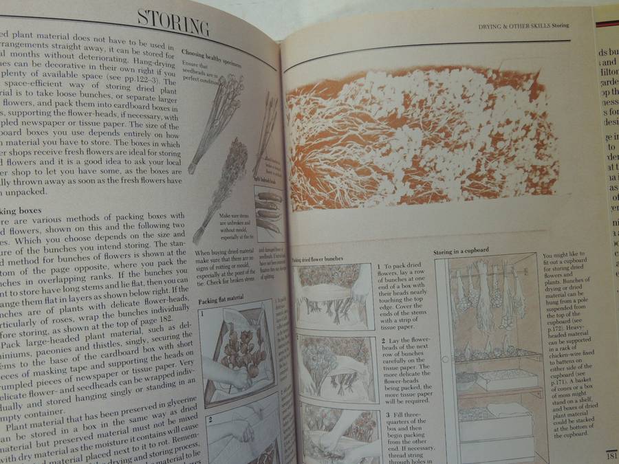 The Complete Book of Dried Flowers - Malcolm Hiller, Colin Hilton