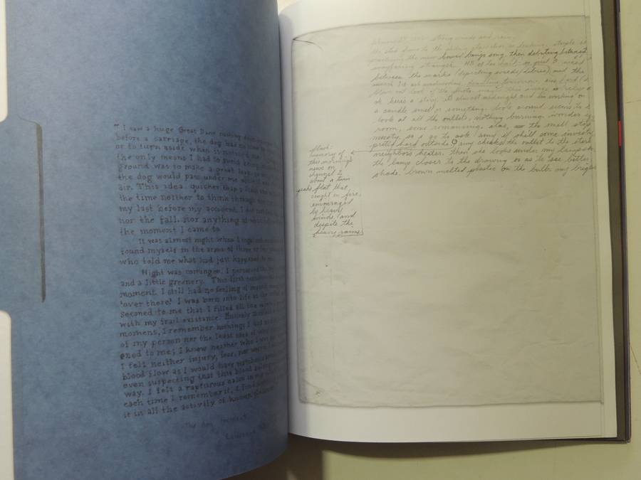 Esopus: Number 6