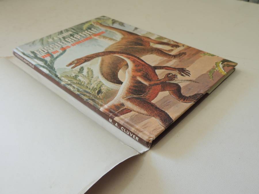 Fossielereptiele Van Die Suid-Afrikaanse Karoo - M.A. Cluver