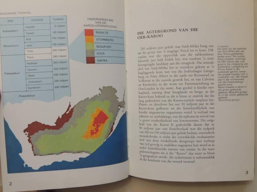 Fossielereptiele Van Die Suid-Afrikaanse Karoo - M.A. Cluver