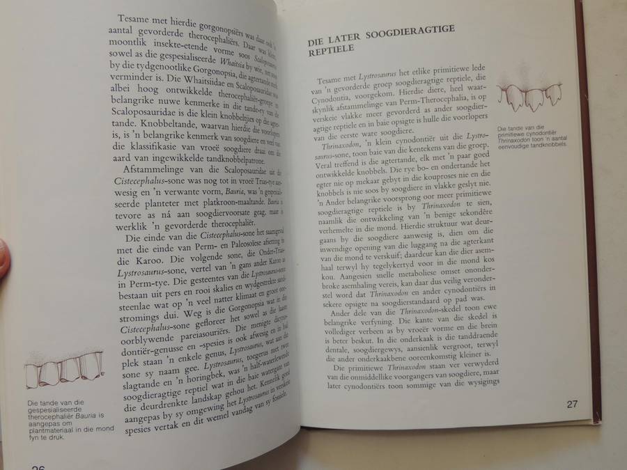Fossielereptiele Van Die Suid-Afrikaanse Karoo - M.A. Cluver