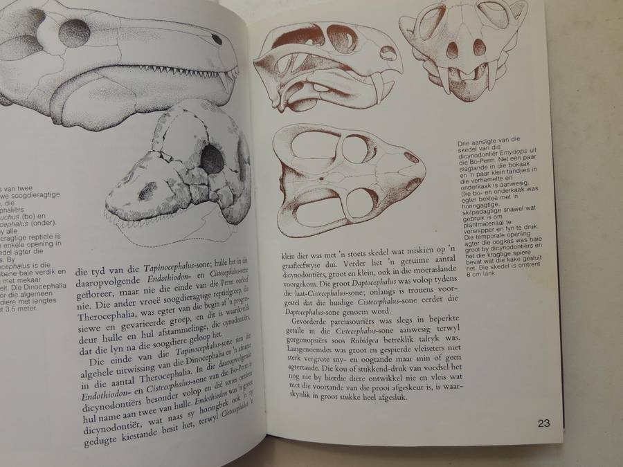 Fossielereptiele Van Die Suid-Afrikaanse Karoo - M.A. Cluver
