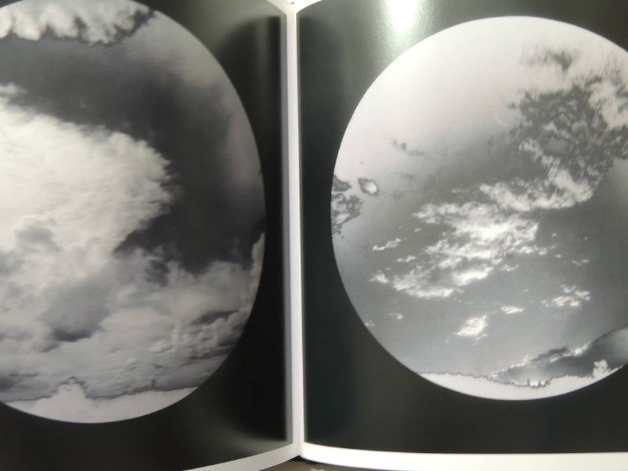 Aaron Rose Photographs - Aaron Rose