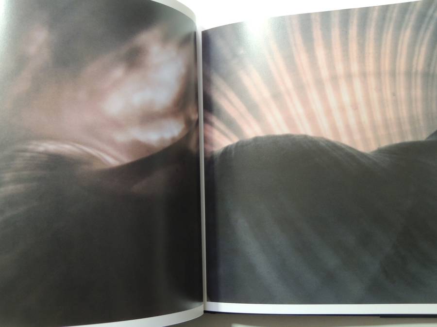 Aaron Rose Photographs - Aaron Rose