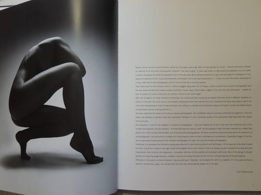 Playtime- Alexander Straulino