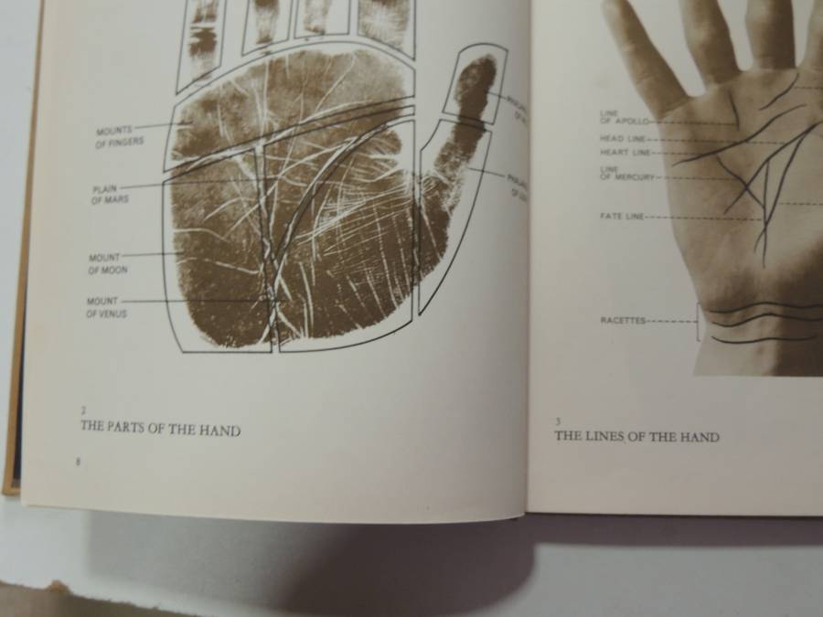 The Book Of The Hand: An Illustrated History Of Palmistry - Fred Gettings  1965