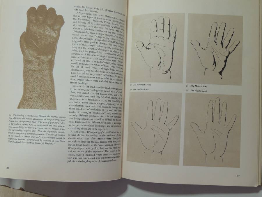 The Book Of The Hand: An Illustrated History Of Palmistry - Fred Gettings  1965