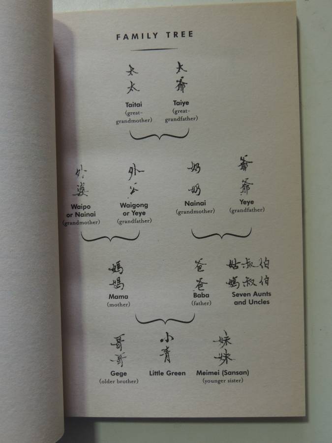 Little Green: A Memoir Of Growing Up During The Chinese Cultural Revolution - Cun Yu