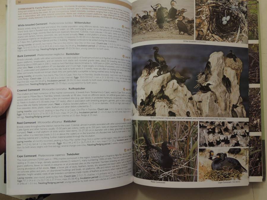 Roberts Nests & Eggs of Southern African Birds - Warwick Tarboton