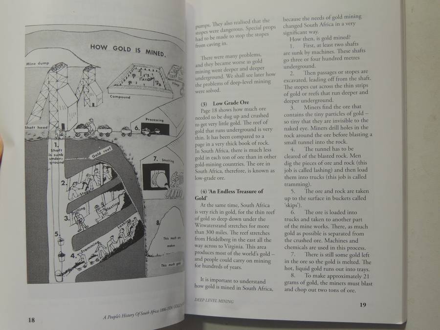 Gold & Workers: A People's History Of South Africa 1886-1924 Vol 1 - Luli Callinicos  (2nd Edition)