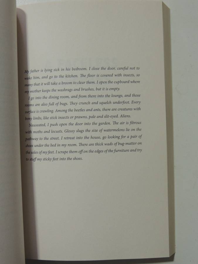 The Near North - Ivan Vladislavic    INSCRIBED