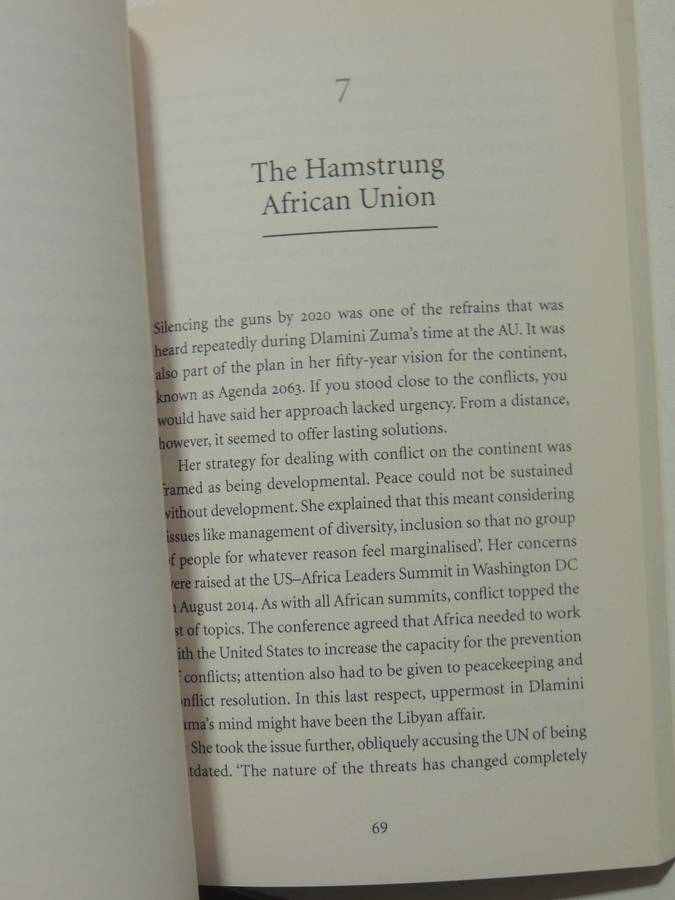 Woman In The Wings: Nkosazana Dlamini Zuma And The Race For The Presidency - Carien Du Plessis