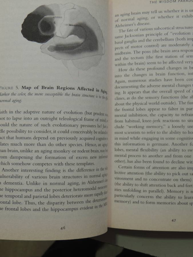 The Wisdom Paradox: How Your Mind Can Grow Stronger As Your Brain Grows Older - Elkhonon Goldberg