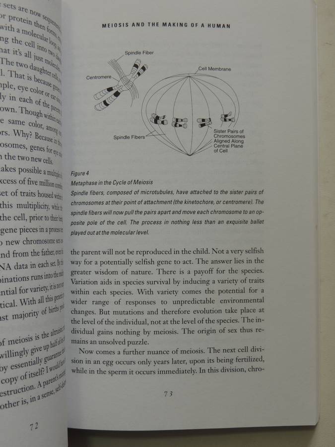 The Hidden Face Of God: Science Reveals The Ultimate Truth - Gerald L. Schroeder