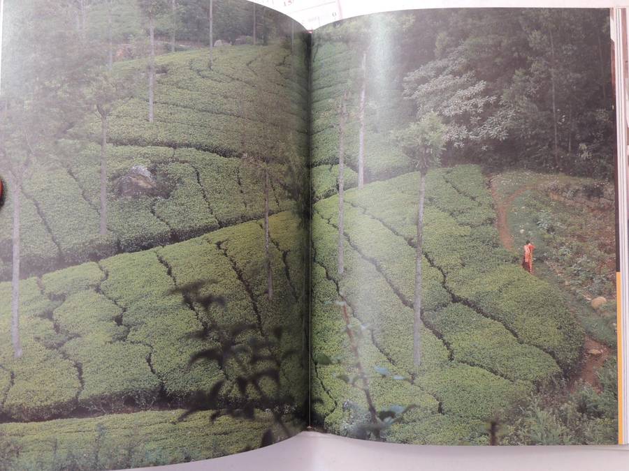 Tea in the East: Tea Habits Along the Tea Route  - Carole Manchester
