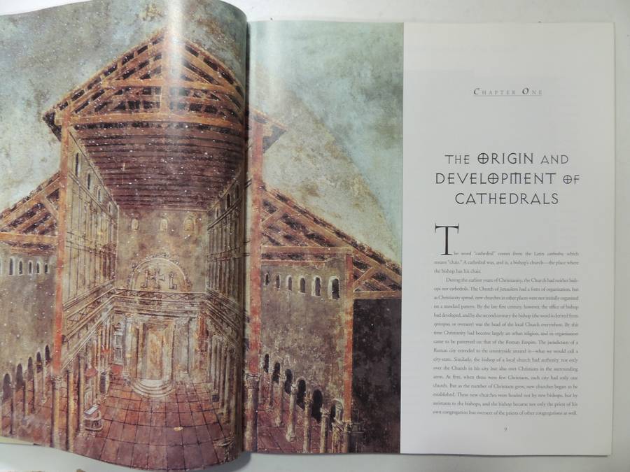 Cathedrals- Robin S. Oggins