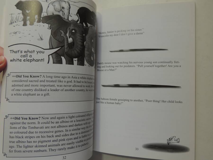 Game Reverse - Rod Bechus