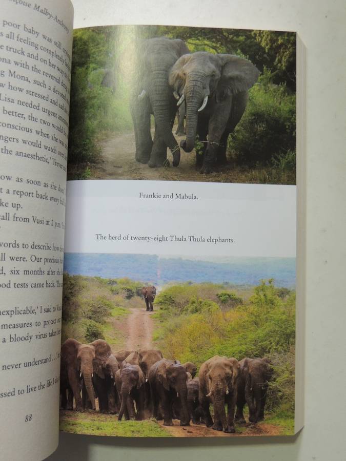 The Elephants of Thula Thula - Francoise Malby-Anthony