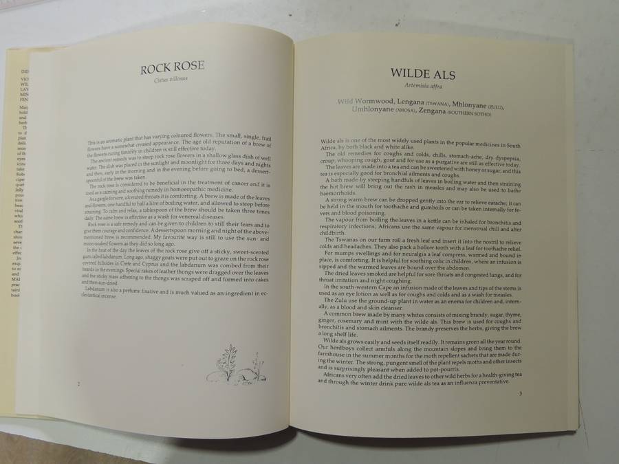 Margaret Roberts' Book of Herbs, The Medicinal and Culinary Uses of Herbs in South Africa -M Roberts