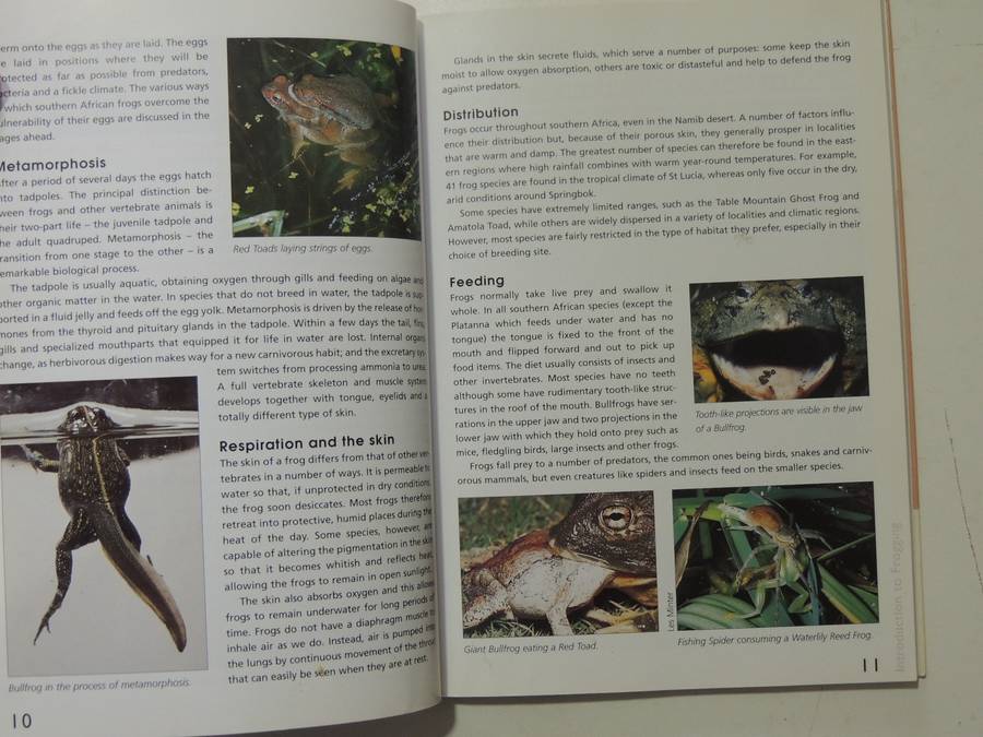 A Guide To The Identification Of TheFrogs Of The Witwatersrand - Vincent Carruthers     NO CD!!