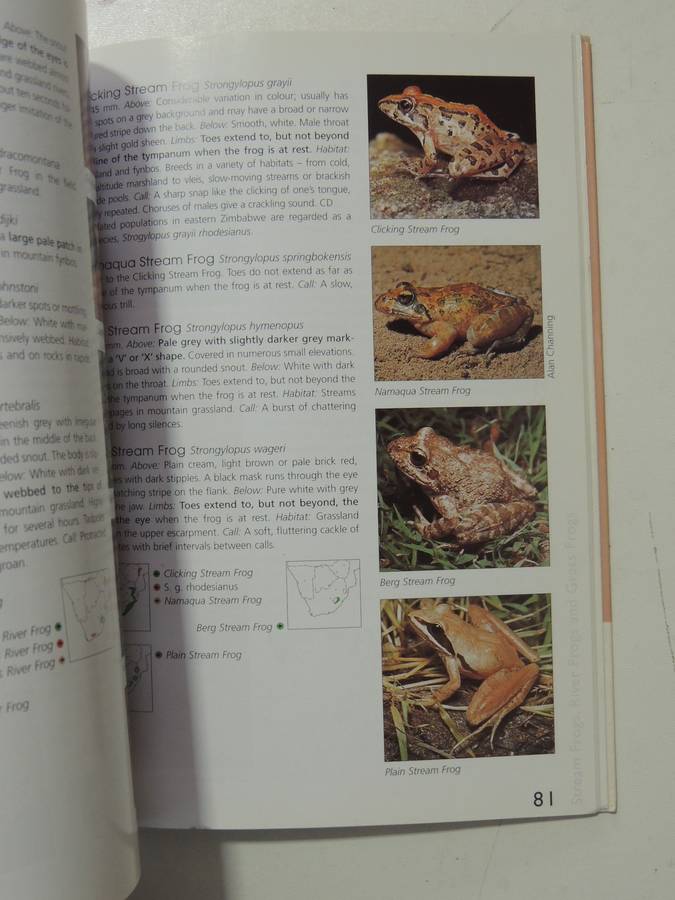 A Guide To The Identification Of TheFrogs Of The Witwatersrand - Vincent Carruthers     NO CD!!